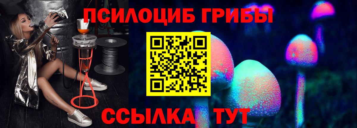 Галлюциногенные грибы Psilocybe  Вход с VPN  Буйнакск 